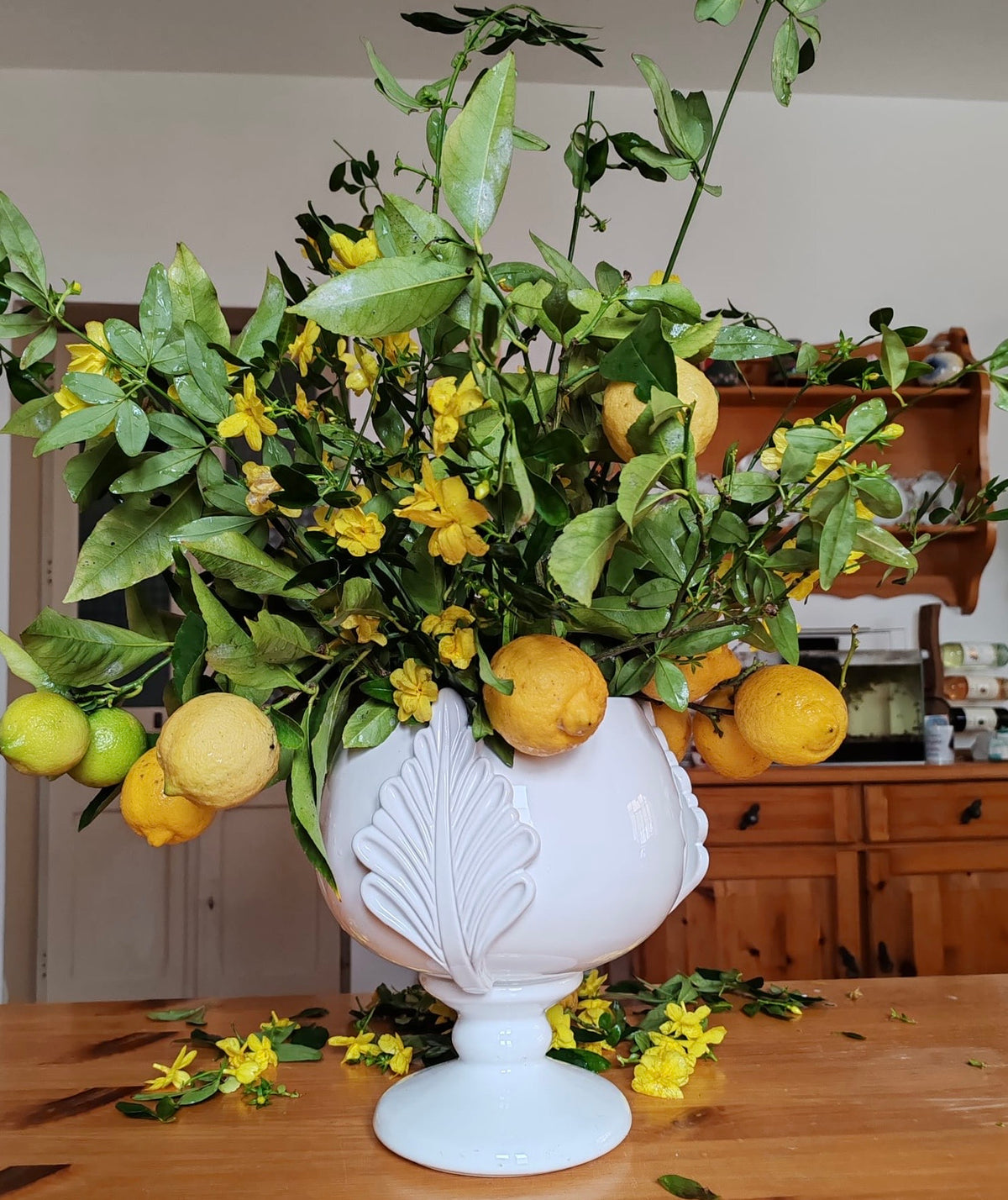 Pumo vaso portafiori