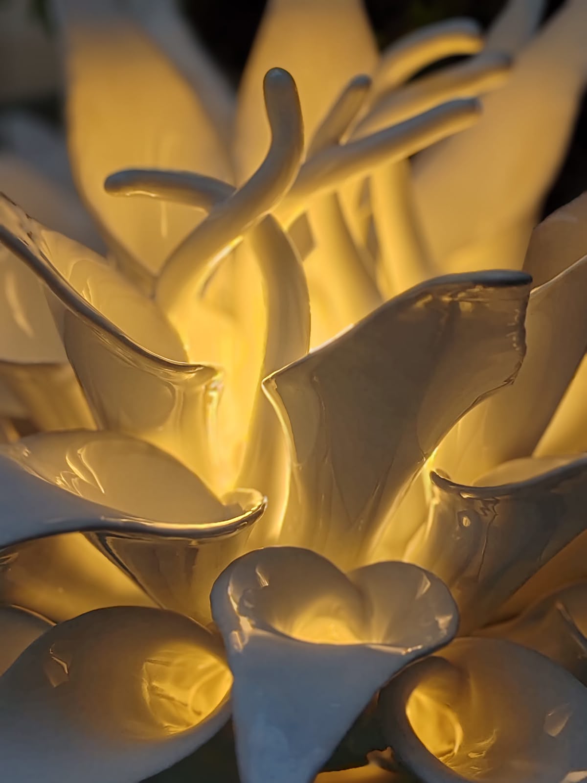 LAMPADA CALLA